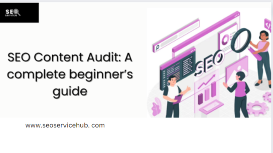 SEO Content Audit